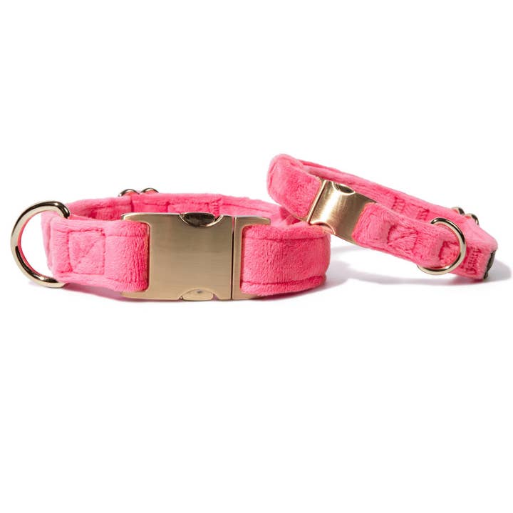 Valentina Dog Collar | Pink Dog Collar | Dog Collar for wholesale by Pink Papyrus | Premium, Durable, & Stylish Dog Products