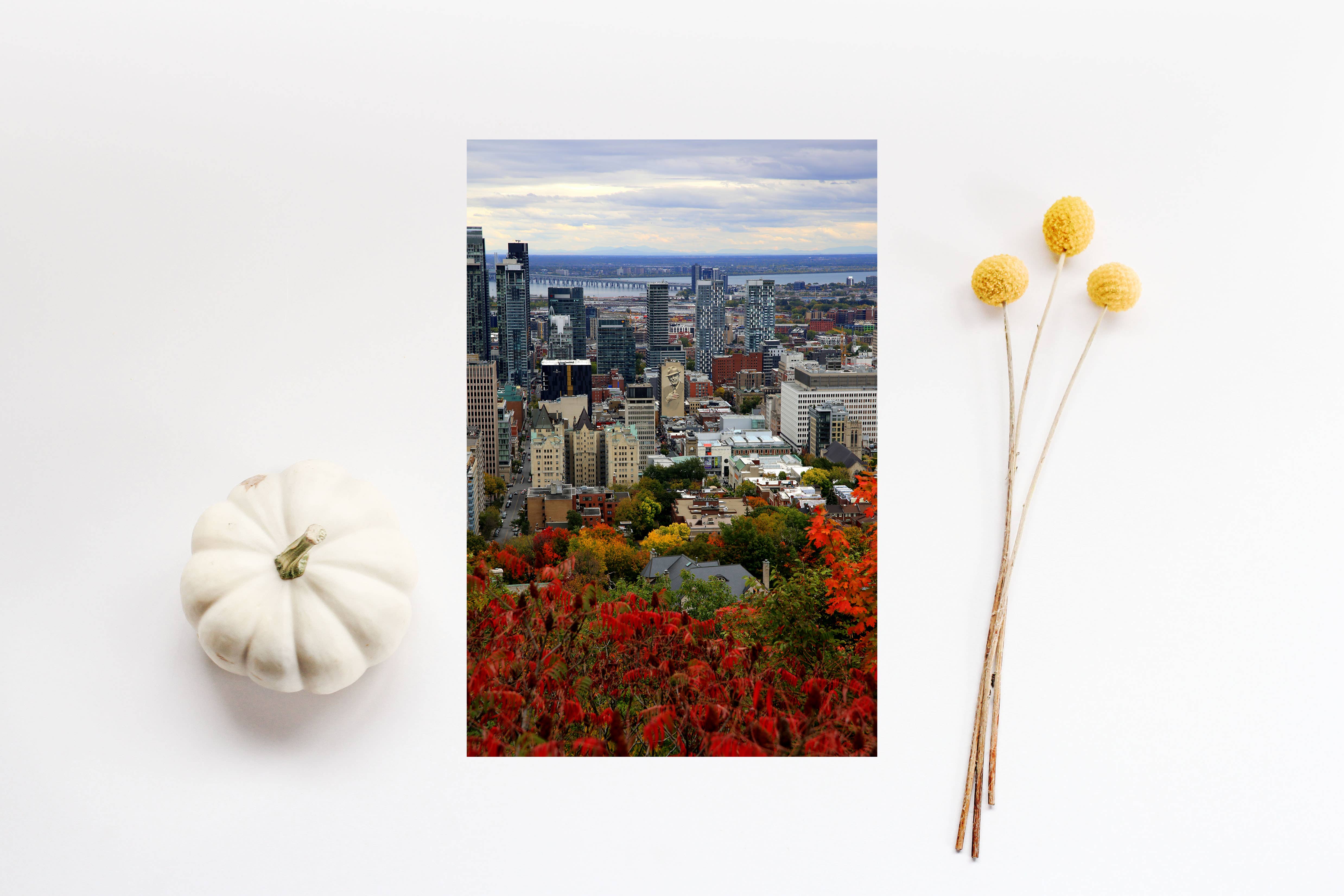 Veni Etiam Photography - Wholesale Art Print - Leonard Cohen Montreal Cityscape Art Print9