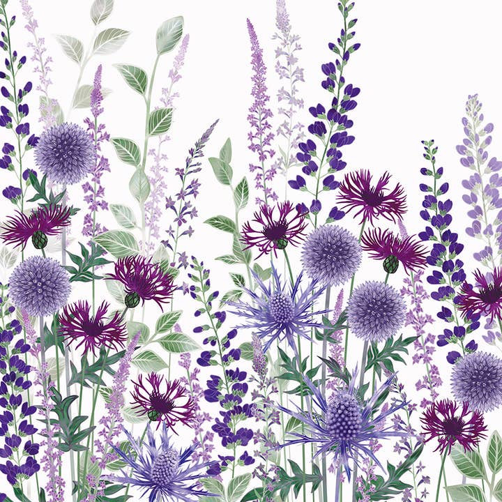 Greeting Card Nature's Jewels for wholesale by Natural Partners Limited