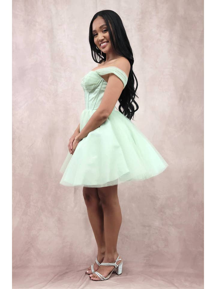 Chicas - Wholesale Dress - Women's - Short Off The Shoulder Tulle Dress With Brooch31