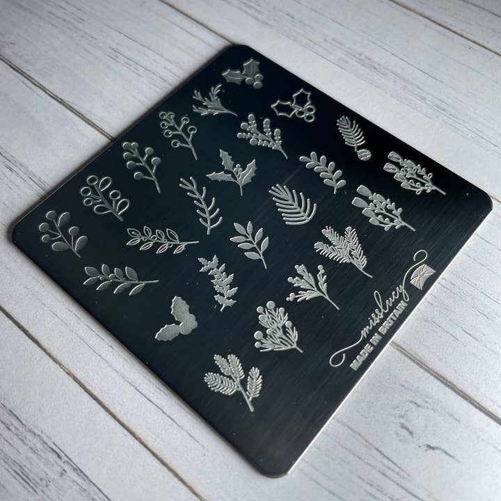 Placa de estampagem de unhas de folhagem de inverno por atacado de MissLucyUK