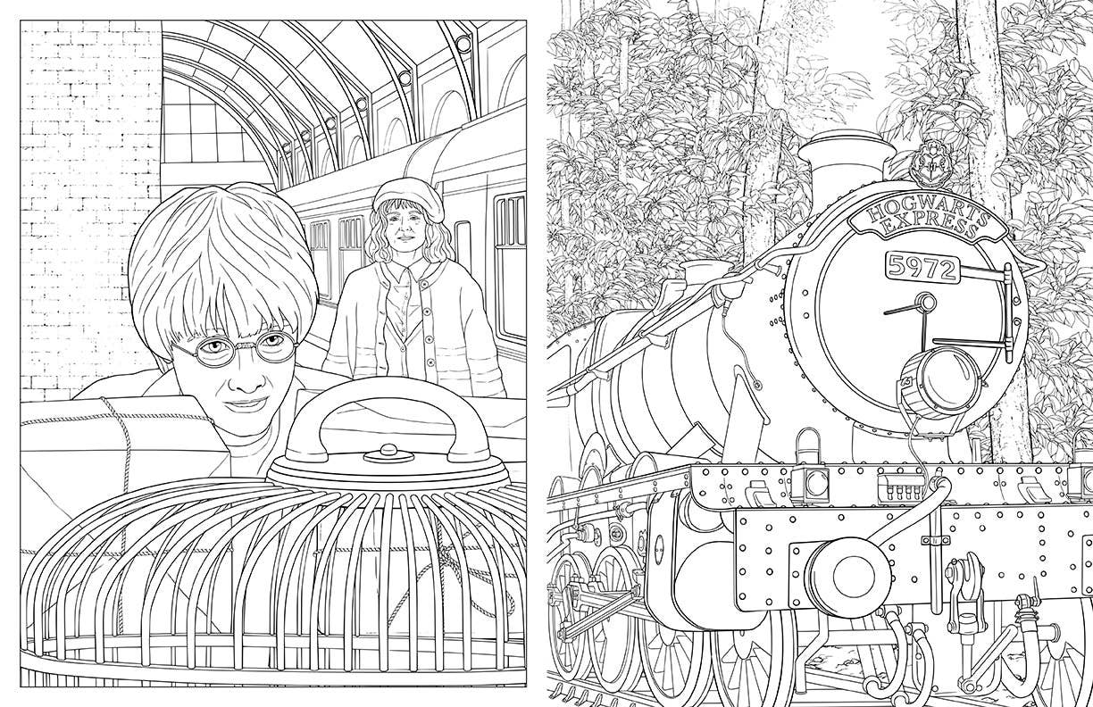 Insight Editions - #1 Pop Culture Publisher - Wholesale Coloring & Activity Book - Kids & Baby - Harry Potter: Travels Through the Wizarding World Coloring5