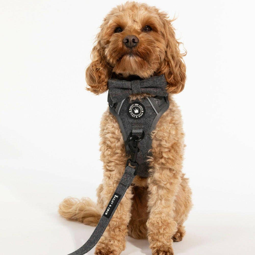 Bailey and Coco – wholesale Pet leash – Dog – Dog Lead 5ft - Slate Tweed1