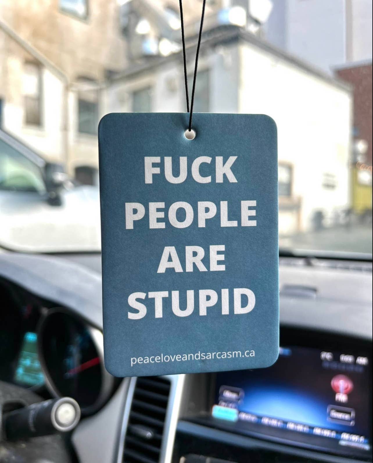 Peace, Love and Sarcasm - Wholesale Car Freshener - Unisex - Fuck People Are Stupid Air Freshener1