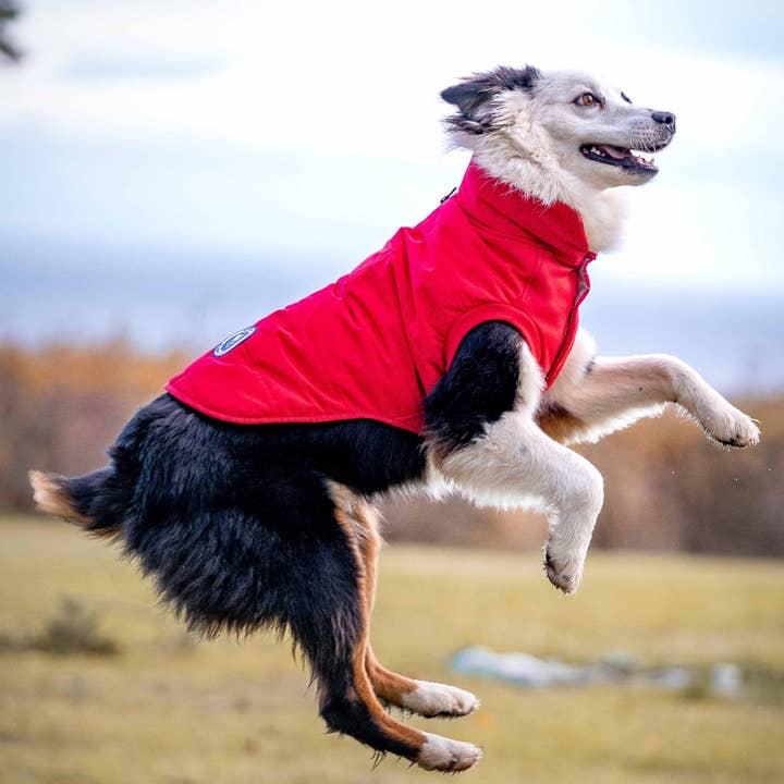 Blueberry Pet - Wholesale Pet Jacket - Dog - 5 Colors, Windproof Quilted Dog Puffer Jackets