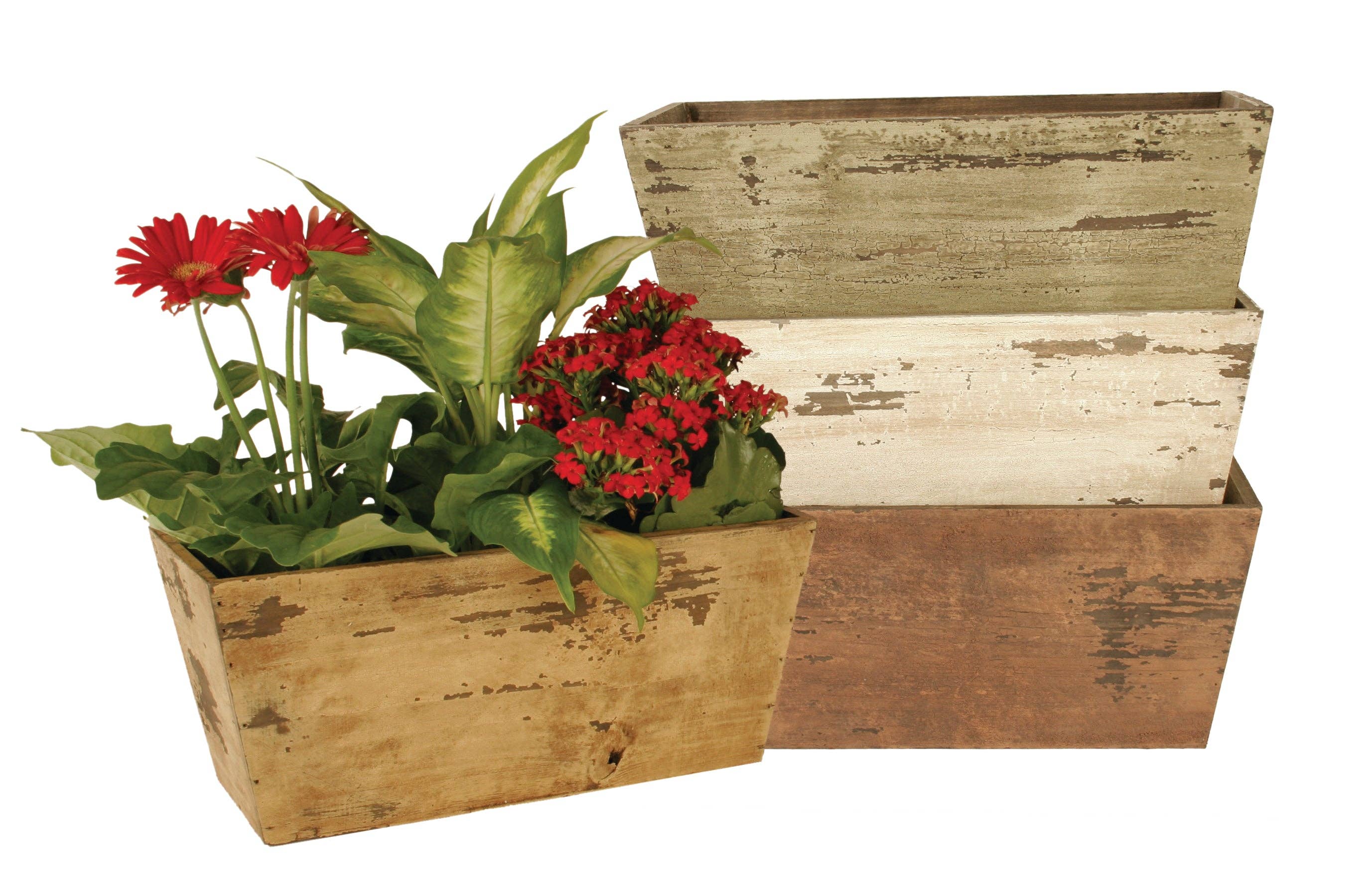 WALD IMPORTS - Vente Jardinière - Jardinière double de 6 po, finis1