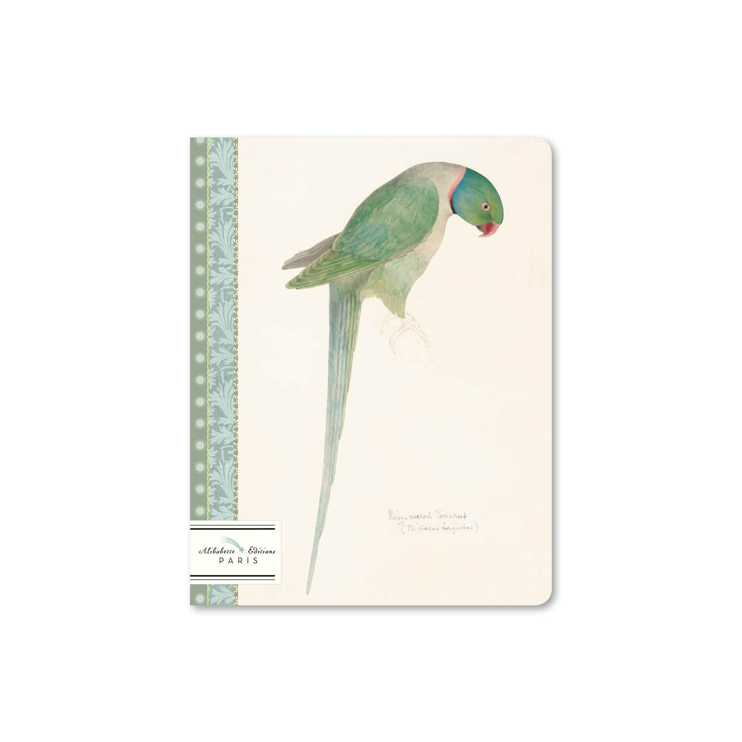 Alibabette Editions – Engroshandel Skitsebog/skitseblok – Notebook - Parakit Parakit - Alibabette