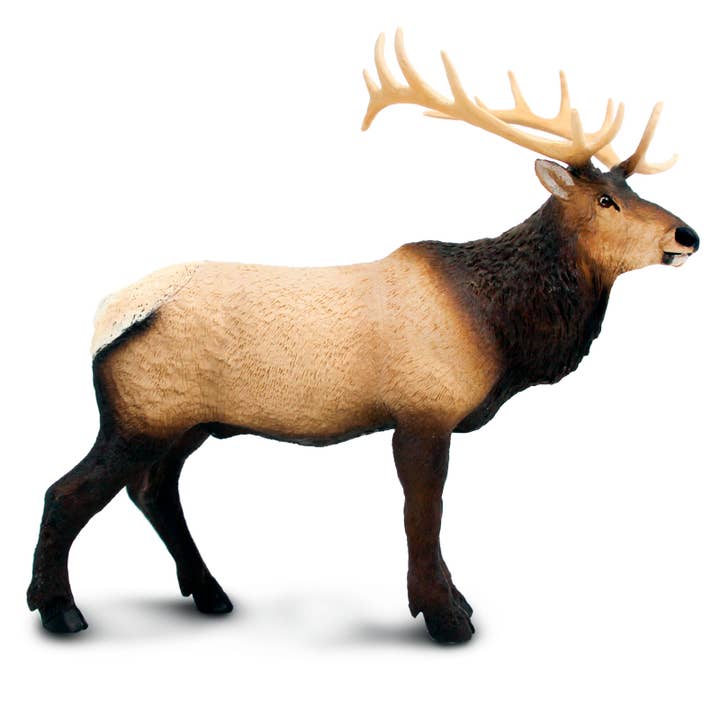 Elk Toy Figurine for wholesale by Safari Ltd.