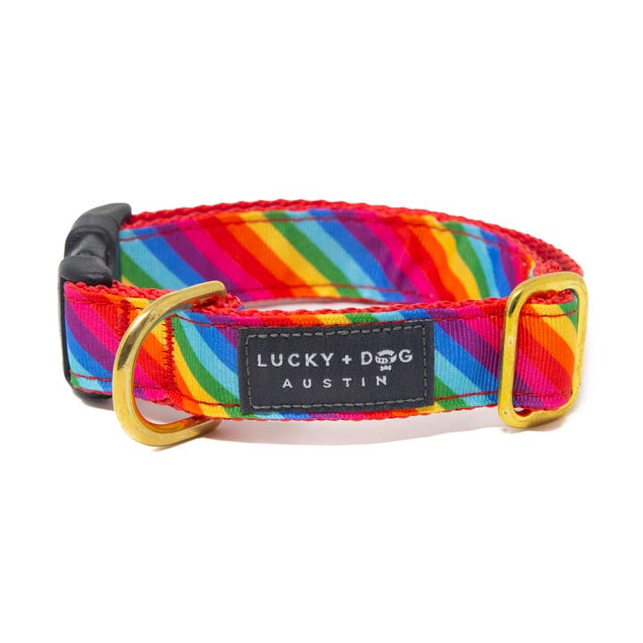 Activewear - Pride Collar for wholesale by LUCKY + DOG