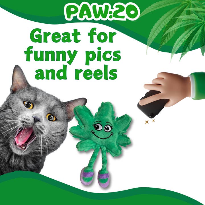 PAW:20 - Wholesale Pet Toy - Cat - Lil' Mary Jane the Marijuana Leaf, Plush Catnip Cat Toy3