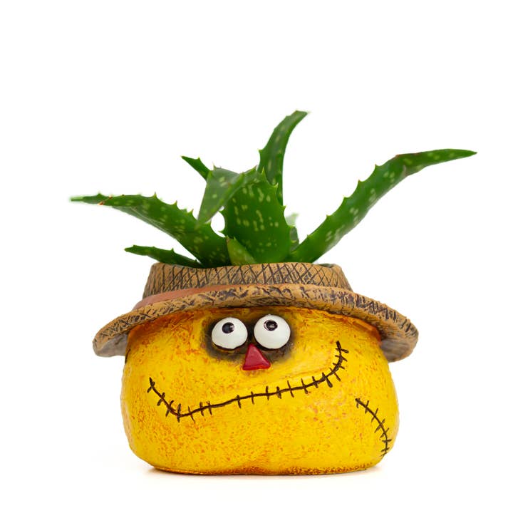 Strawman Dan Scarecrow Blobhouse Planter for wholesale by Cohasset Gifts