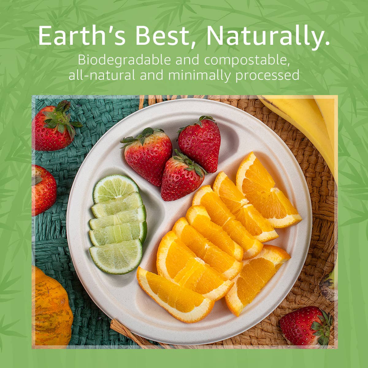 Ibambo - Wholesale Disposable Plate - Ibambo Bamboo Disposable Compartment Plates - 9" - 50 Pack6