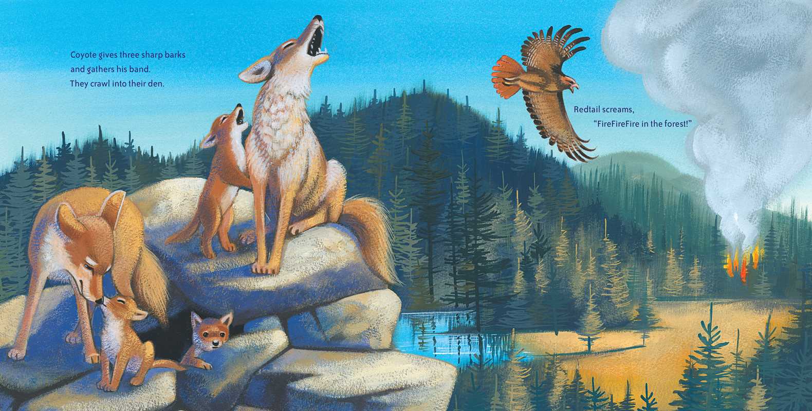 Simon & Schuster - Wholesale Preschool Book (3-5) - Wildfire! by Ashley Wolff7