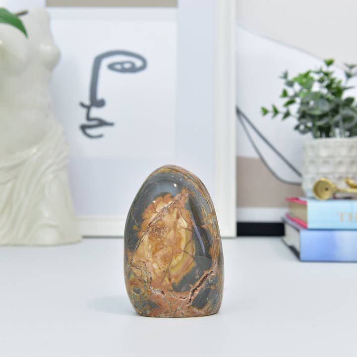 Yellow Tree Company - Vente Pierre et cristal de spiritualité - Ibis Jasper Freeform | Jaspe Bréchique Malgache FreeForm5