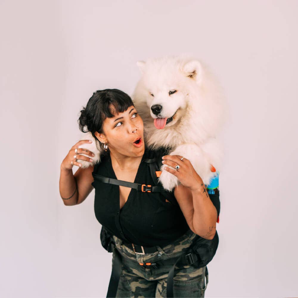 Negro Mochila Brodie One Big Dog de venta al por mayor en Faire12