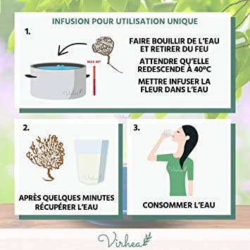 Virhea – Großhandel Gesundheits-/Entgiftungstee – Rose von Jericho im Großpack – Chajarat Mariam3