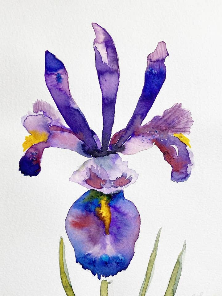 Whimsy for engroshandel hos Zoë Kozyrakis Art Studio