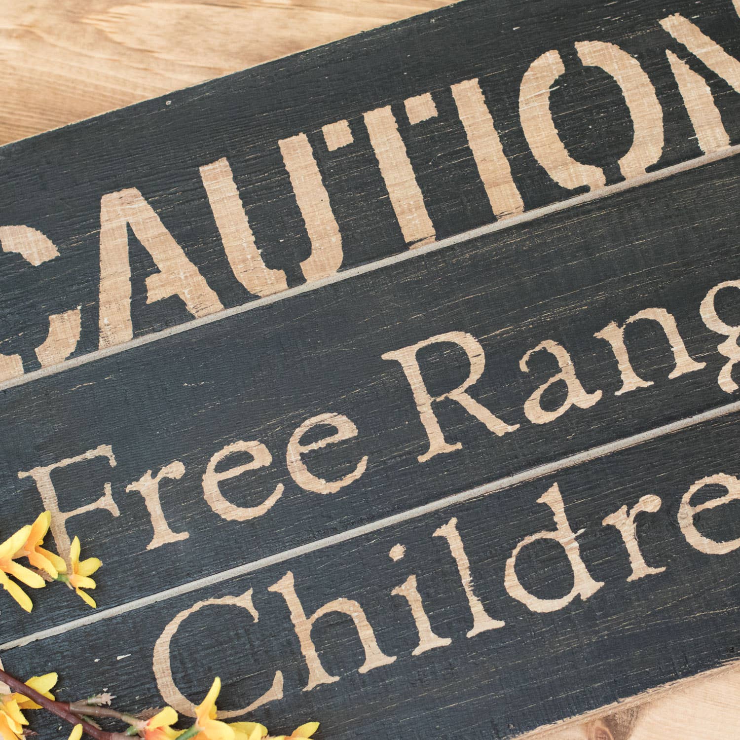 Foreside Home & Garden - Wholesale Sign - Rustic "Caution Free Range Children" Wood Wall Decor5