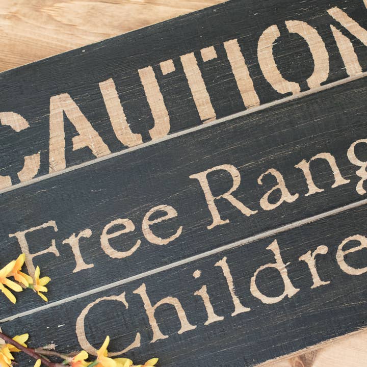 Foreside Home & Garden - Wholesale Sign - Rustic "Caution Free Range Children" Wood Wall Decor5