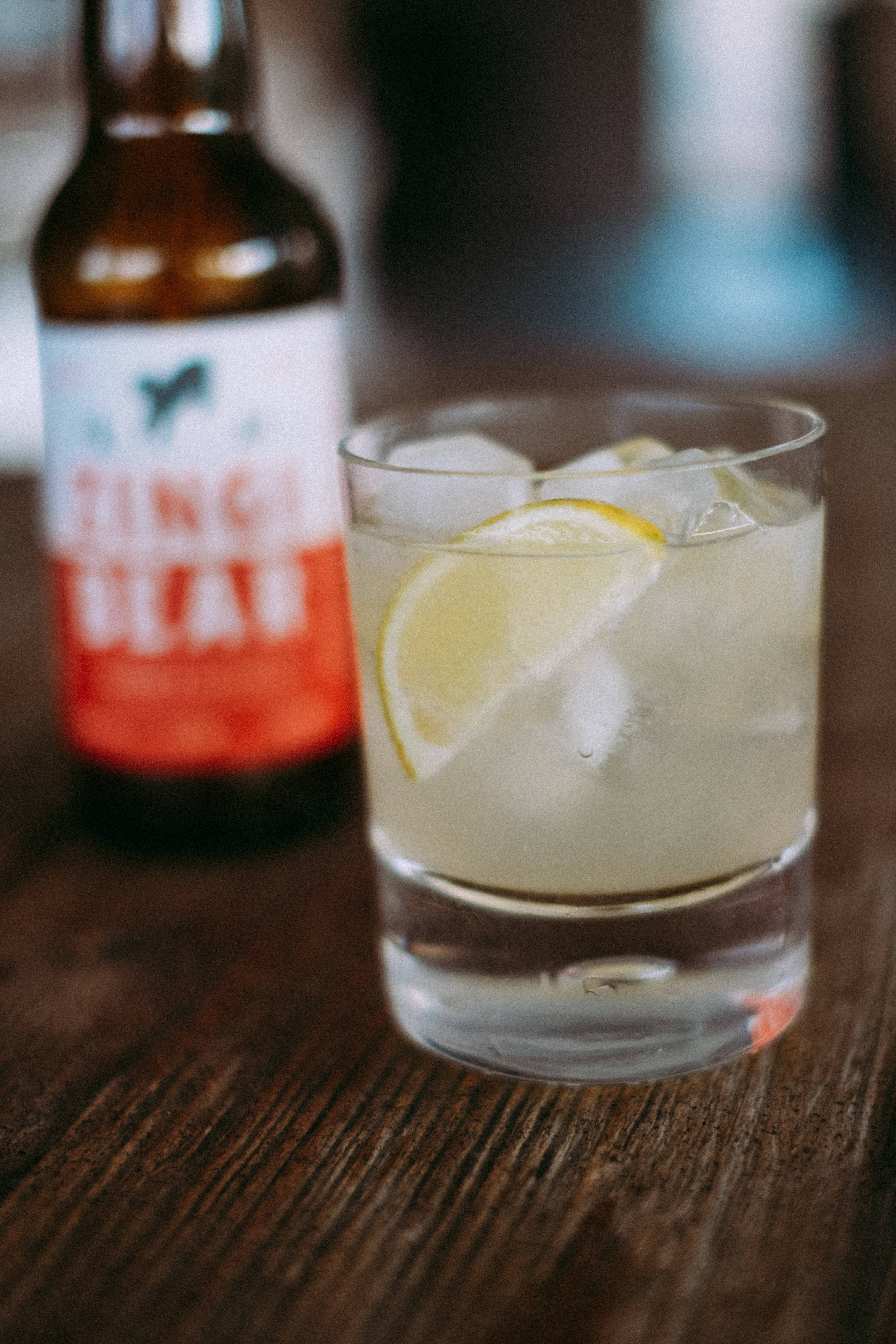 ZINGI BEAR - Wholesale Kombucha - Zingi Bear Organic Ginger Switchel | Alcohol-Free Soft Drink9