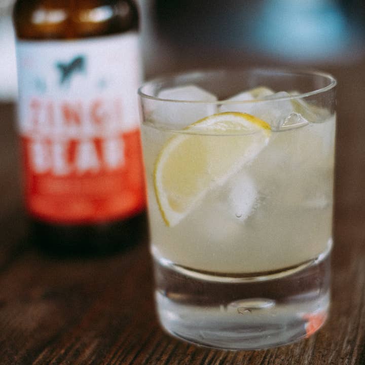 ZINGI BEAR - Wholesale Kombucha - Zingi Bear Organic Ginger Switchel | Alcohol-Free Soft Drink9