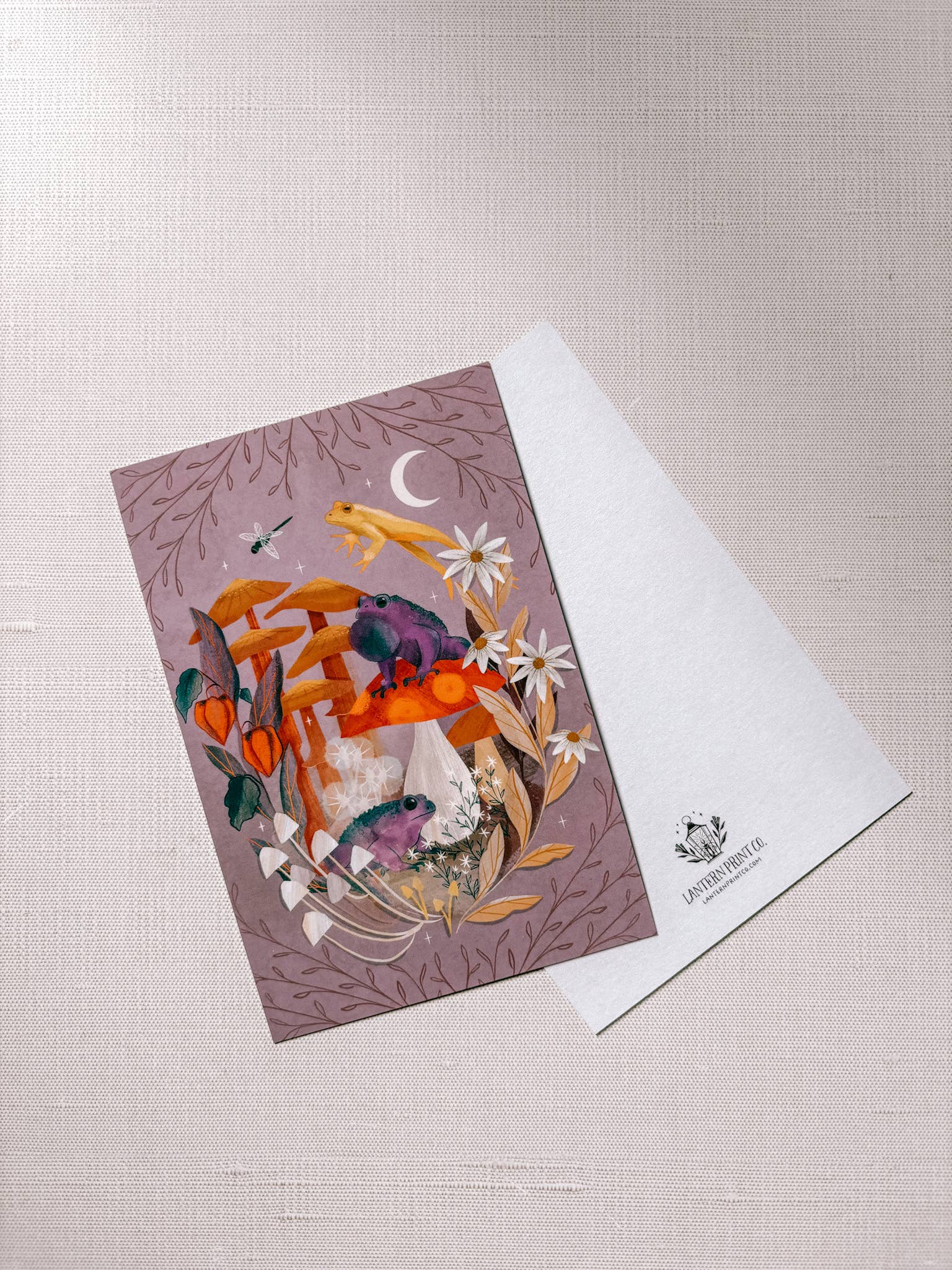 Lantern Print Co. - Wholesale Art Print - Art Print: Toads & Toadstools; 5x7, 8x10, 4x63