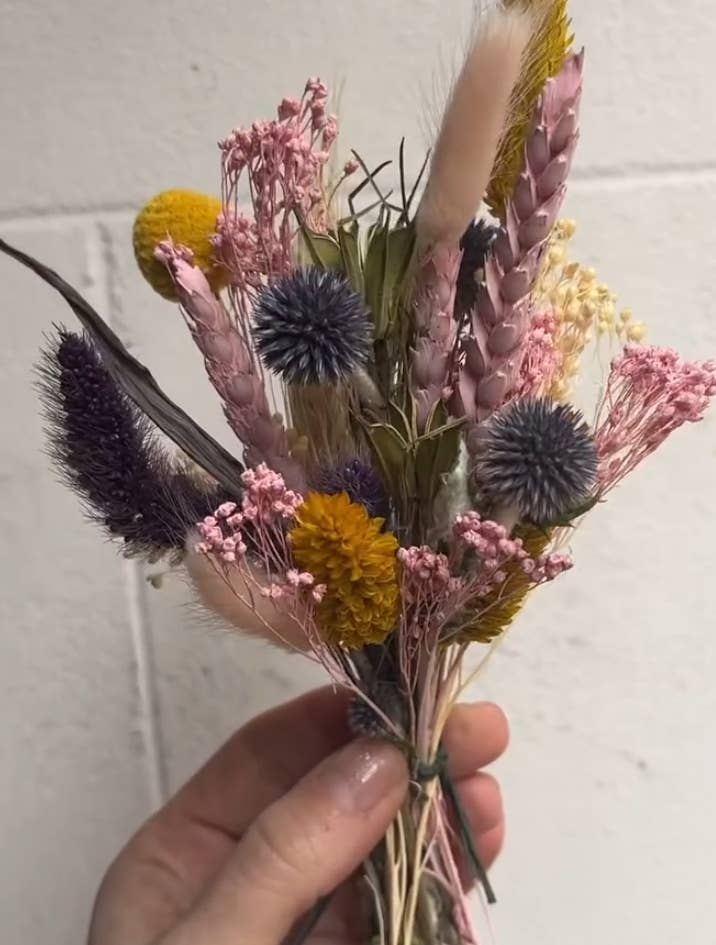Hazel & Twine – wholesale Dried/pressed flowers – Florist Pick - Mini Dried Flower Bunch  - Bright Tones 4