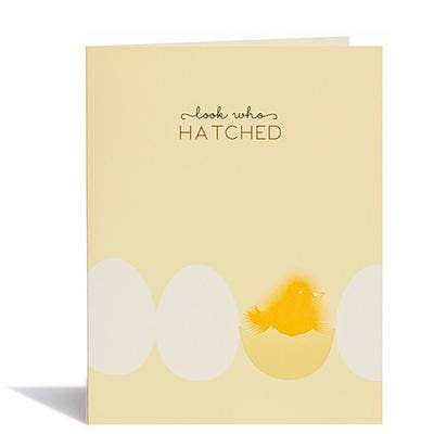 #8123 Baby kuiken voor wholesale door Snow & Graham