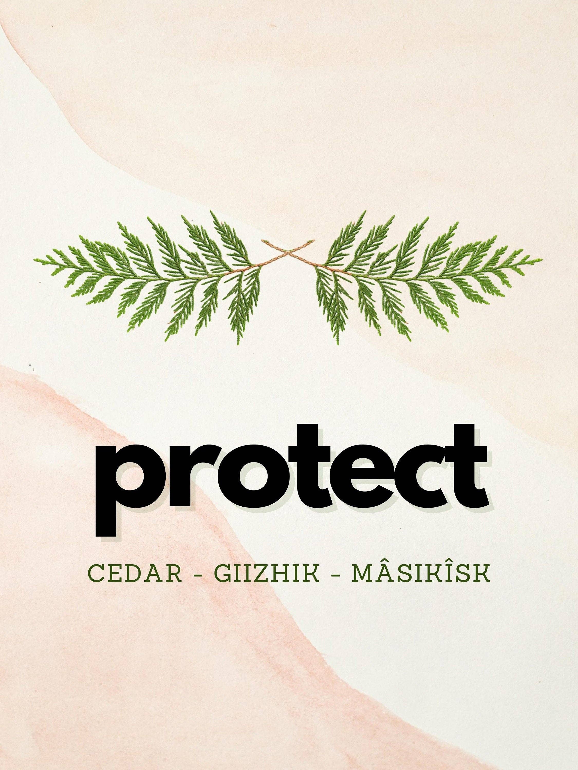 Eagle Woman Prints - Wholesale Art Print - Four Sacred Medicines Art Work - Four Piece Set1