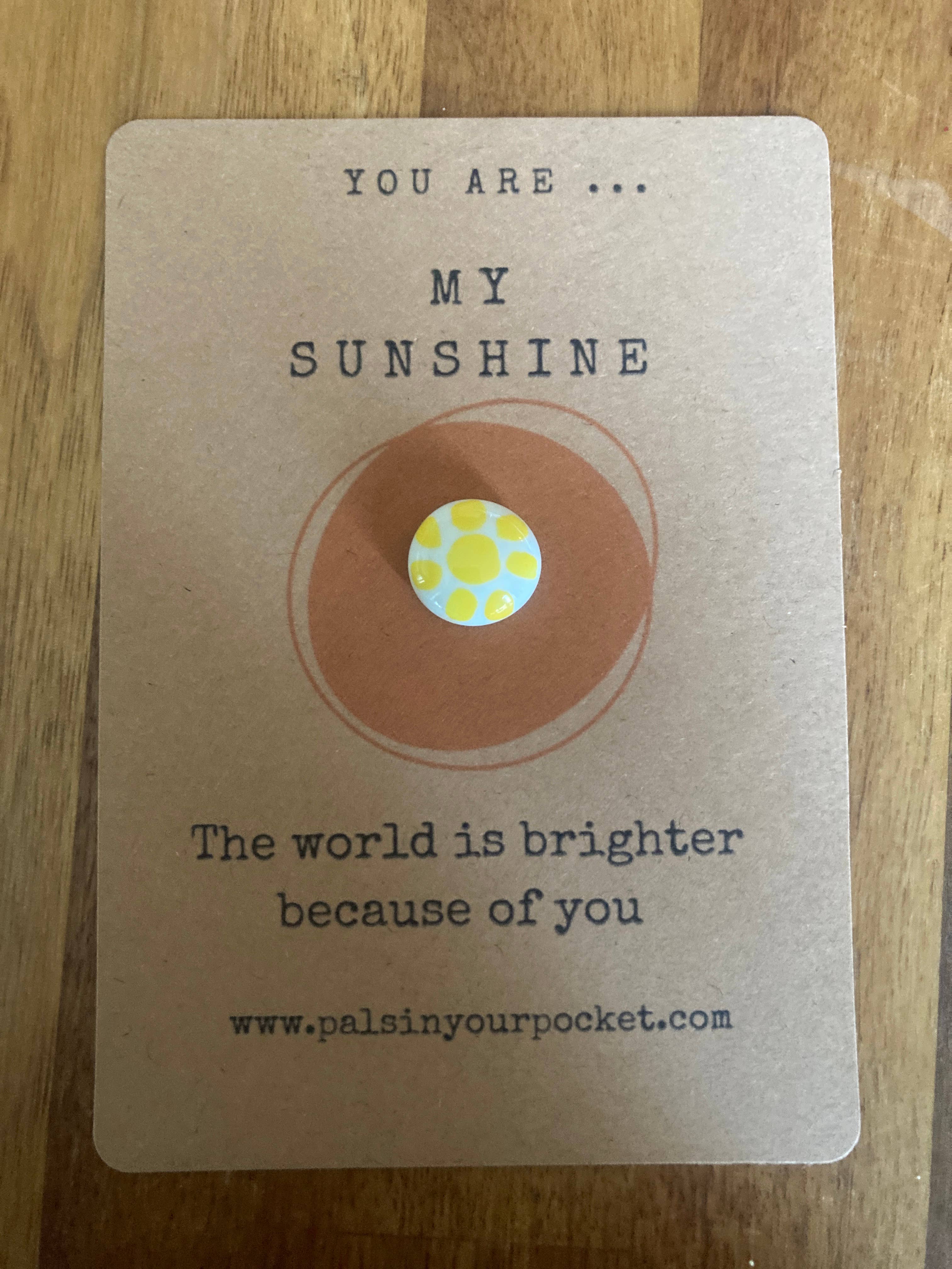 Pals in your Pocket - Wholesale Keepsake coin/token - Sunshine Pebble Quote Charm With Lyrics And Affections