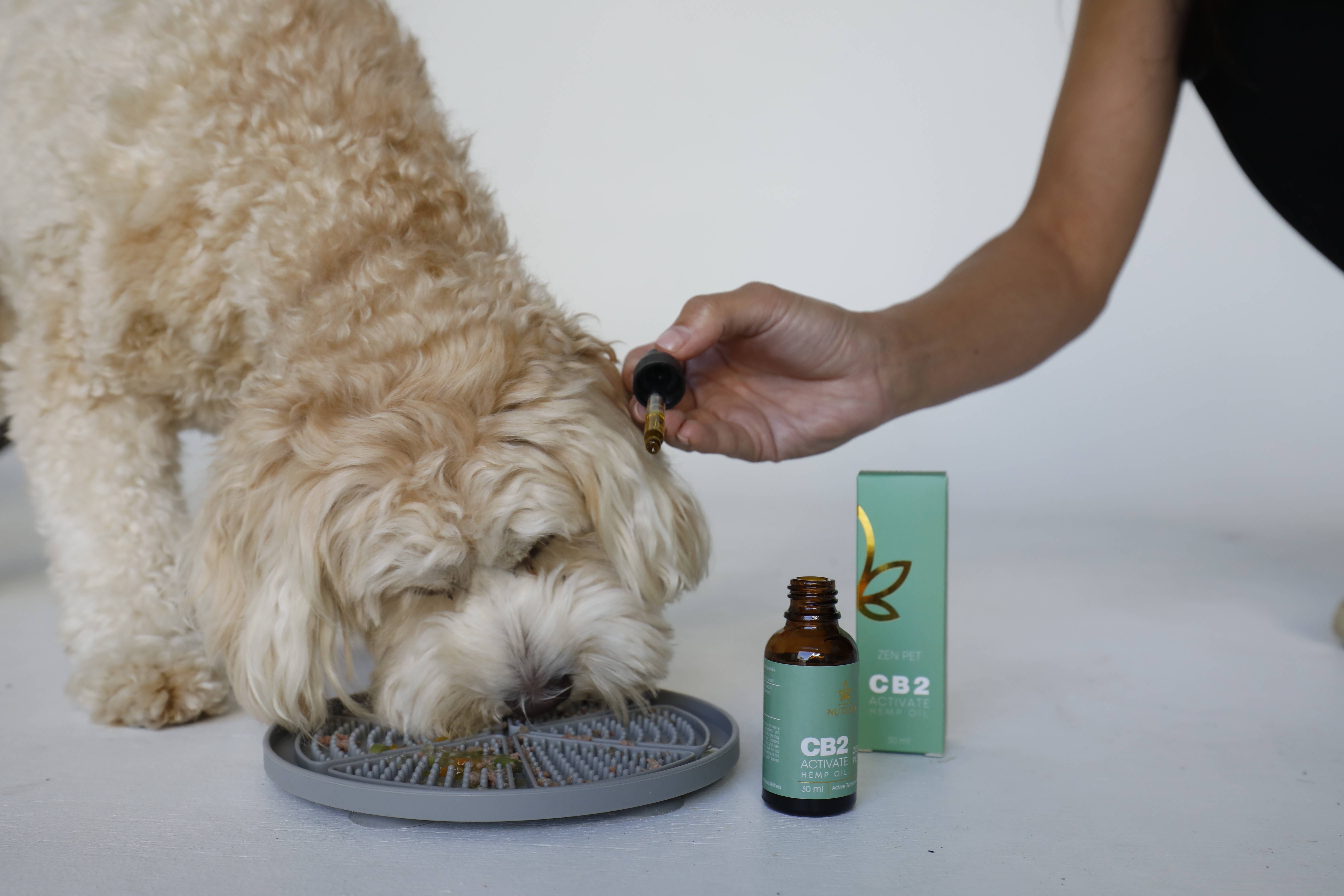 Nutura Wellness - Wholesale Pet Supplement - Cat/Dog - Zen Pet - Calm Drops2