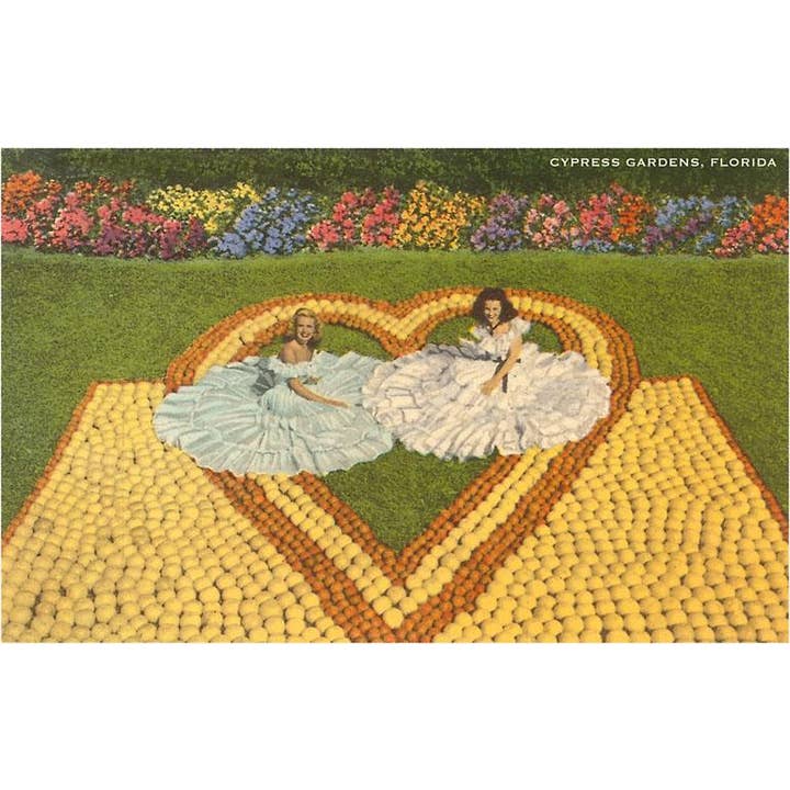 Postcard FL-1095 Southern Belles with Grapefruit Display, Cy for wholesale by Found Image Press