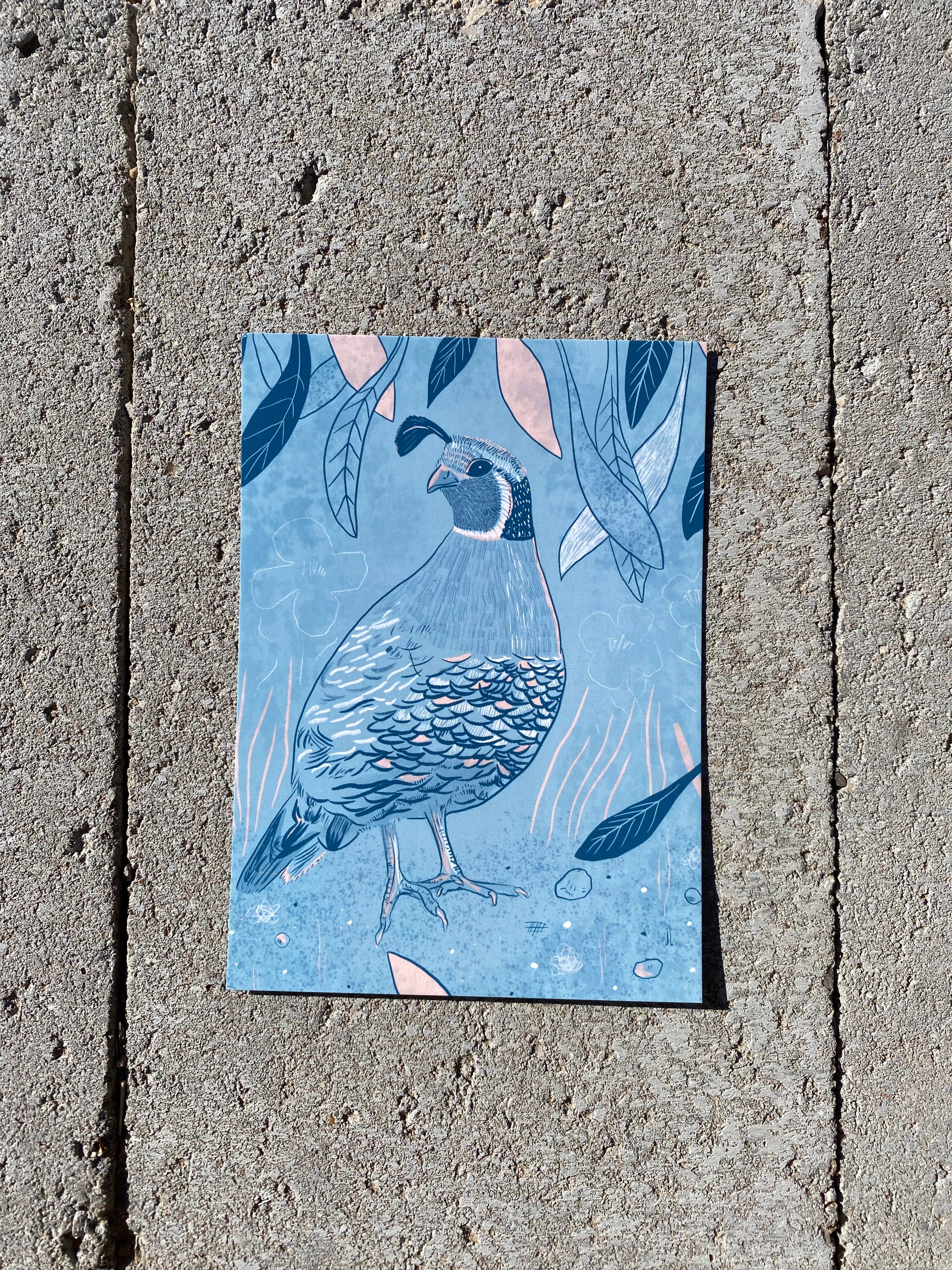 June Jewell Designs - Wholesale Art Print - 5”x7” Quail on Blue Art Print4