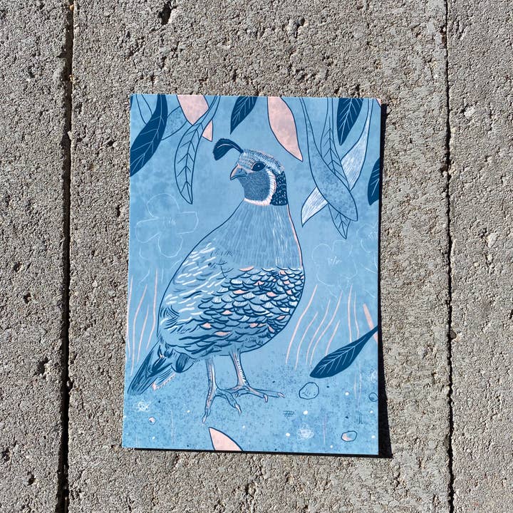 June Jewell Designs - Wholesale Art Print - 5”x7” Quail on Blue Art Print4