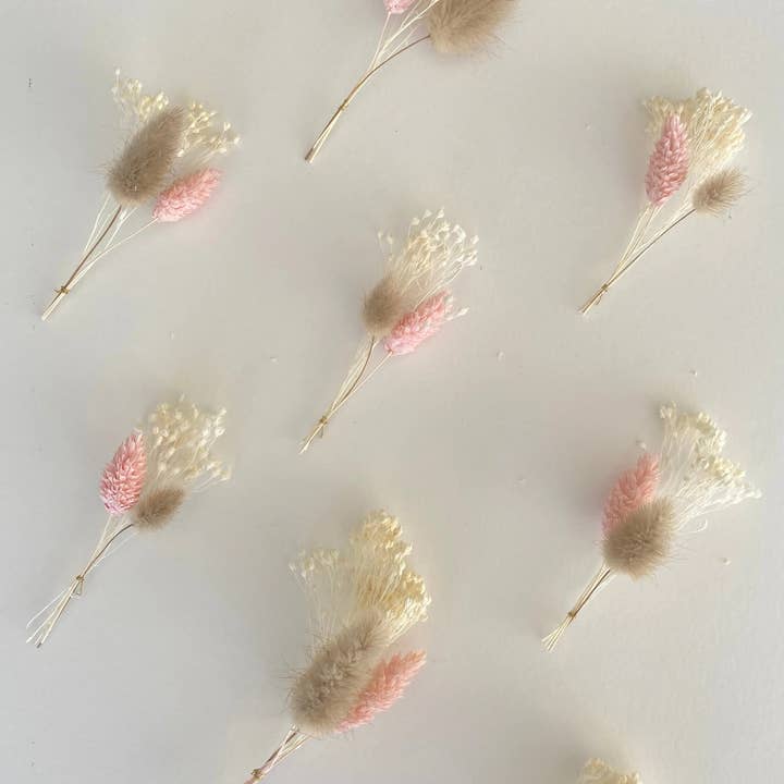 Florir - Wholesale Dried/pressed flowers - Dried flower wedding boutonnieres4