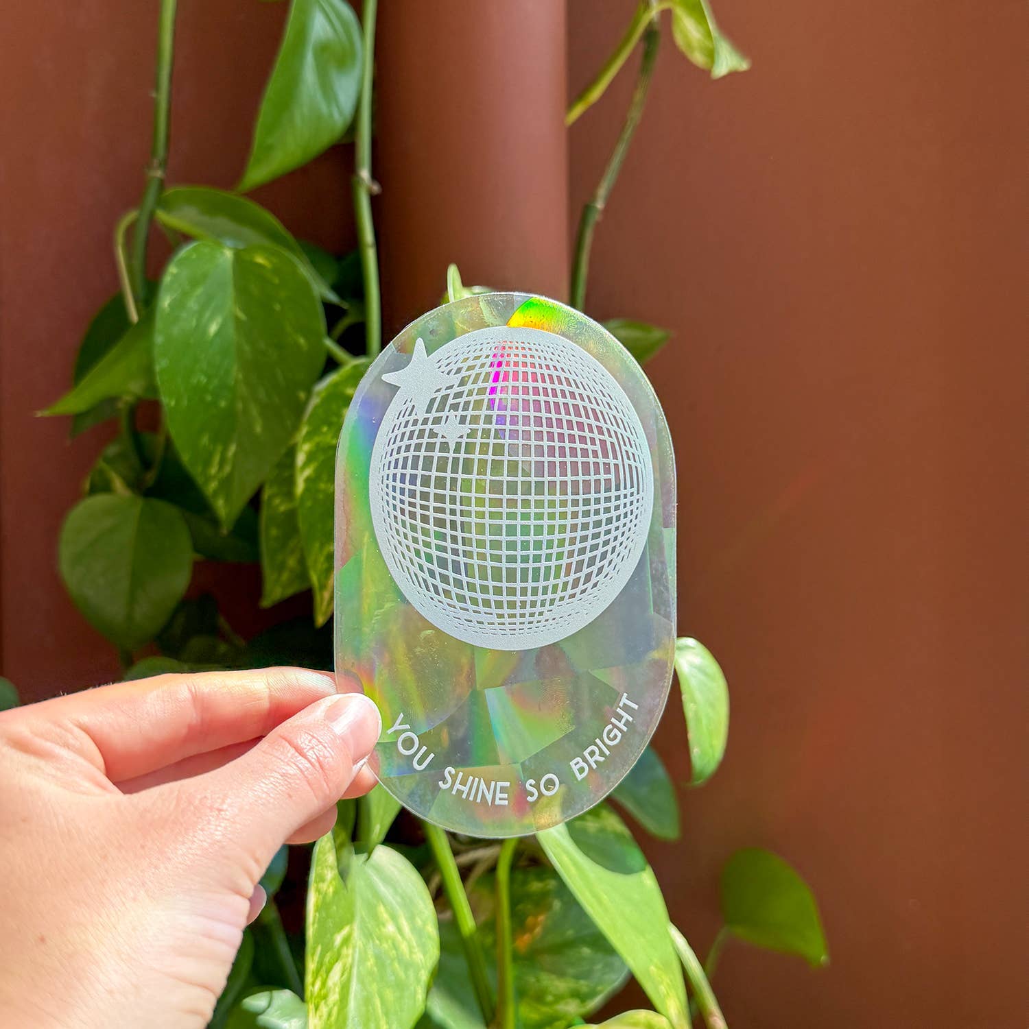 Botanopia USA - gifts , decor and cards for plant lovers - Wholesale Suncatcher - Rainbow maker sticker - You shine so bright1