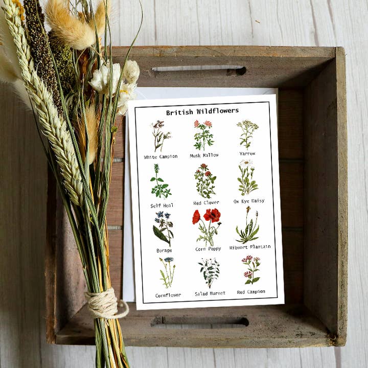 Wildflowers Of Great Britain seed card - 13 x 18 for wholesale by Seeds with Love