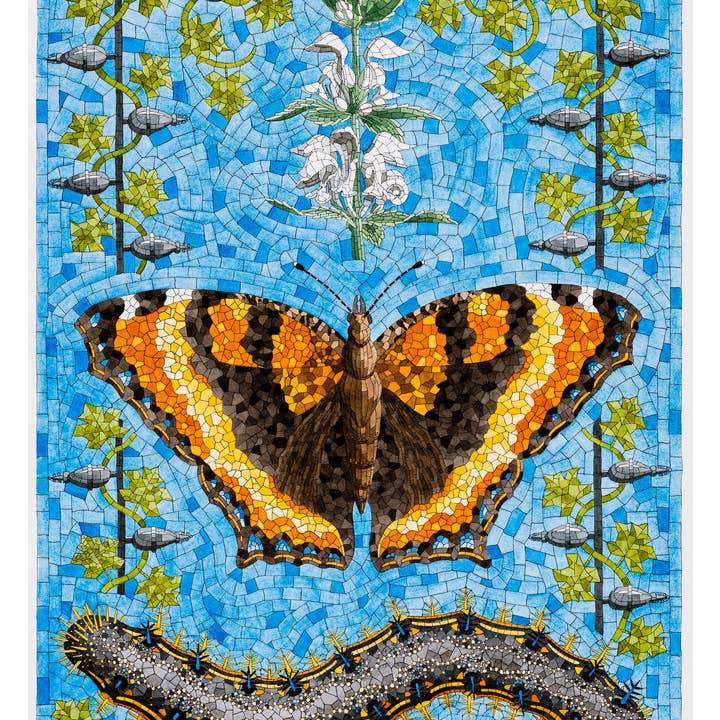 Pomegranate - Wholesale Stationery/Notecard Set - David Cohen: Butterflies Boxed Notecard Assortment4