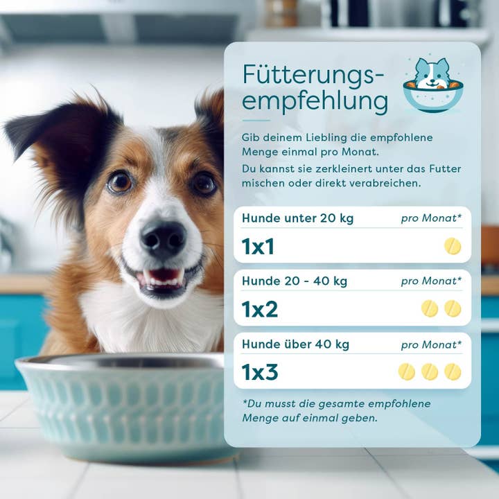 DrSAM – Großhandel Nahrungsergänzungsmittel für Haustiere – Hund – wufit dog - sekundierende Tablette vor/nach einem Wurmbefall