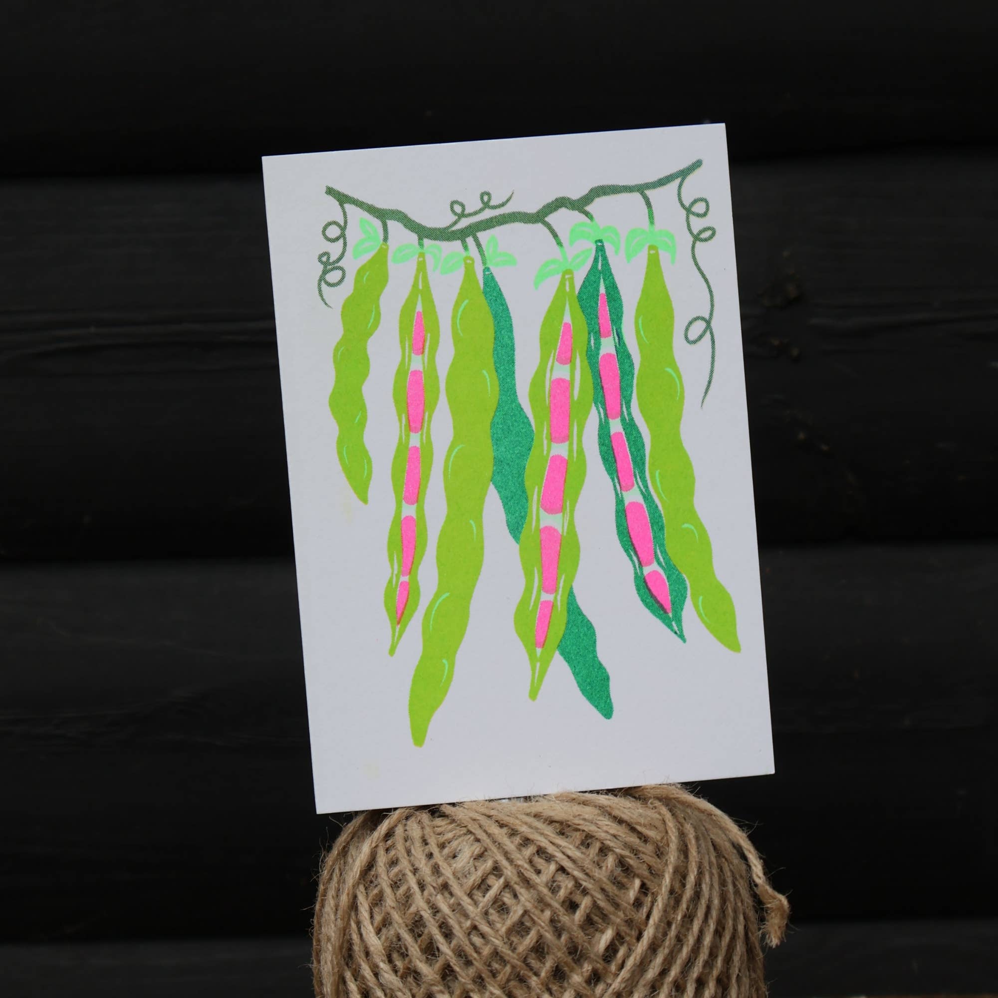 Petra Boase Ltd (US Duties Paid) - Wholesale Everyday Greeting Card - Grow Cards (Pack of 6) Beans1