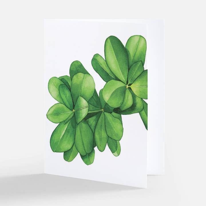 Greens Greeting Card for wholesale by Natella Libin