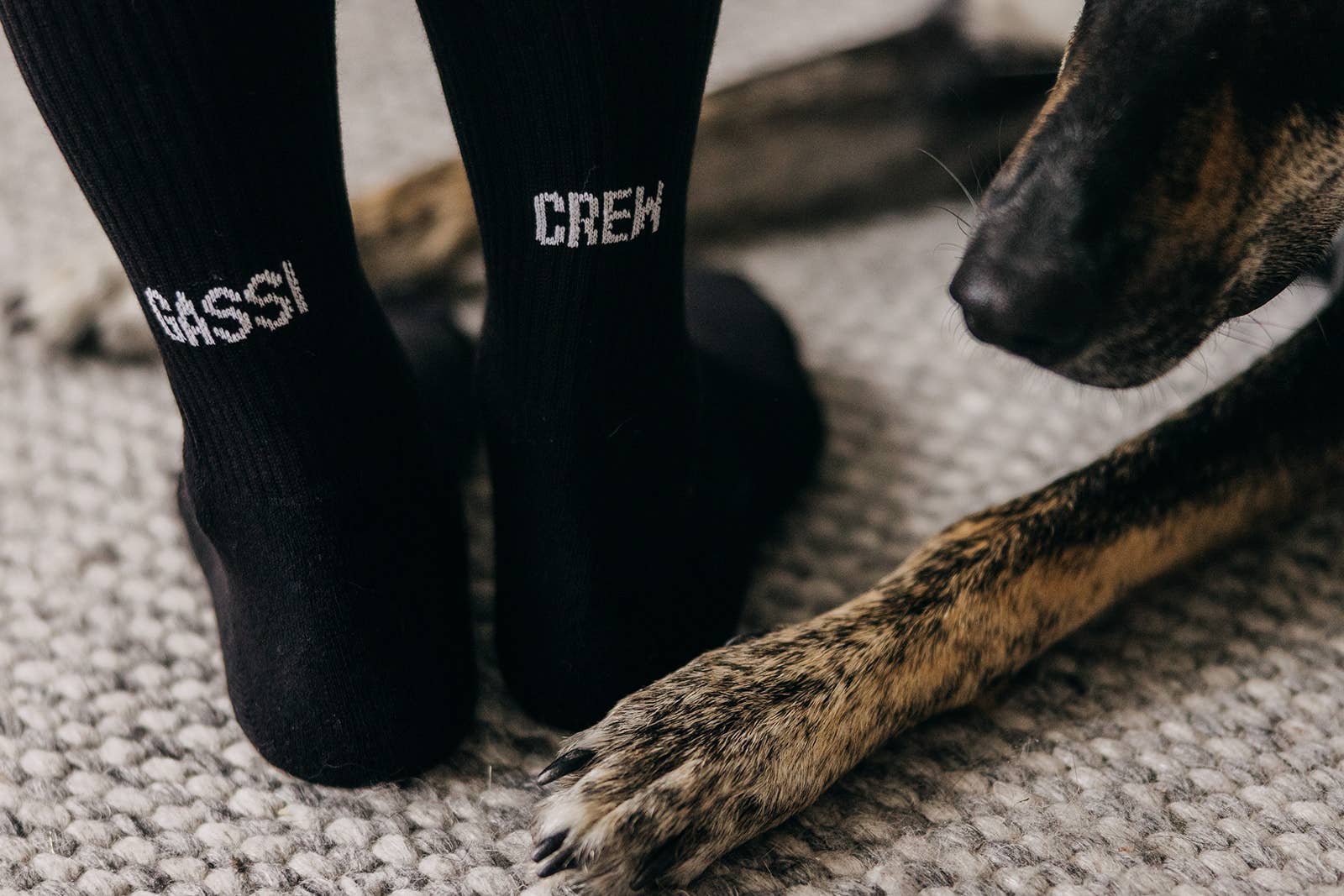 Lieblingspfote - Wholesale Socks - Unisex - “GASSI CREW” socks black2