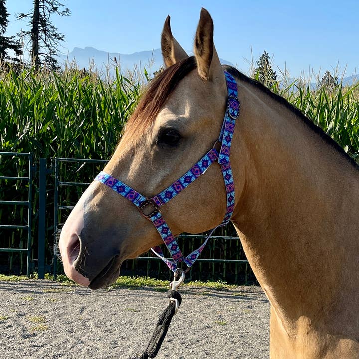 Schulz Equine - Vente Équipement d’équitation - Licol en nylon, taille cheval