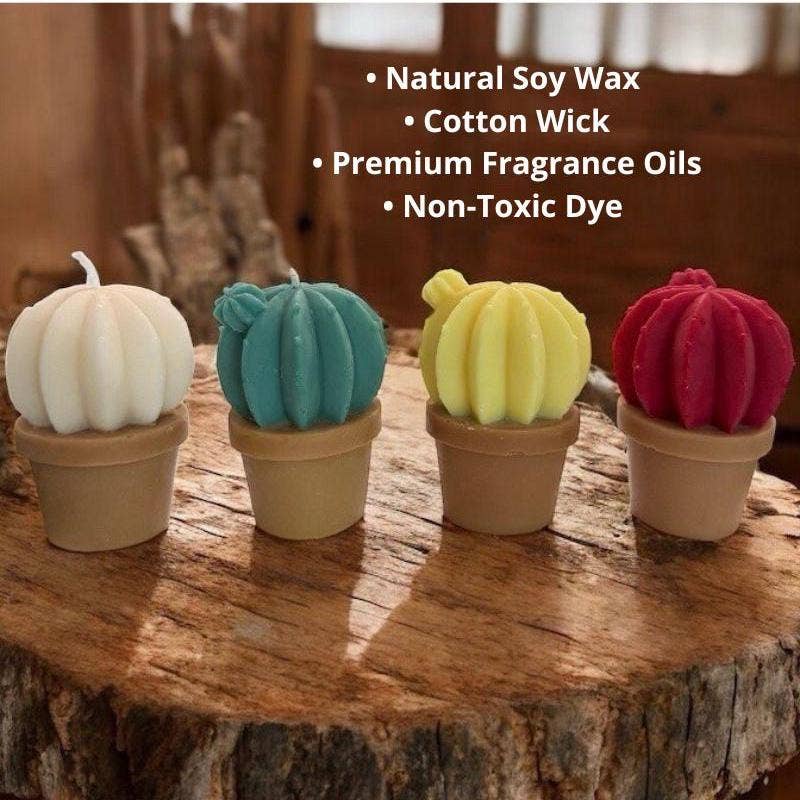 Karly’s Candles - Wholesale Novelty candle - Mini Cactus Candle: Soy Wax Succulent, Plant Lover Gift1