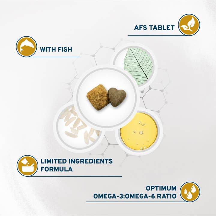 Forza10 Pet Food - Wholesale Pet Food - Dog - FORZA10 Active Urinary Dry Dog Food4