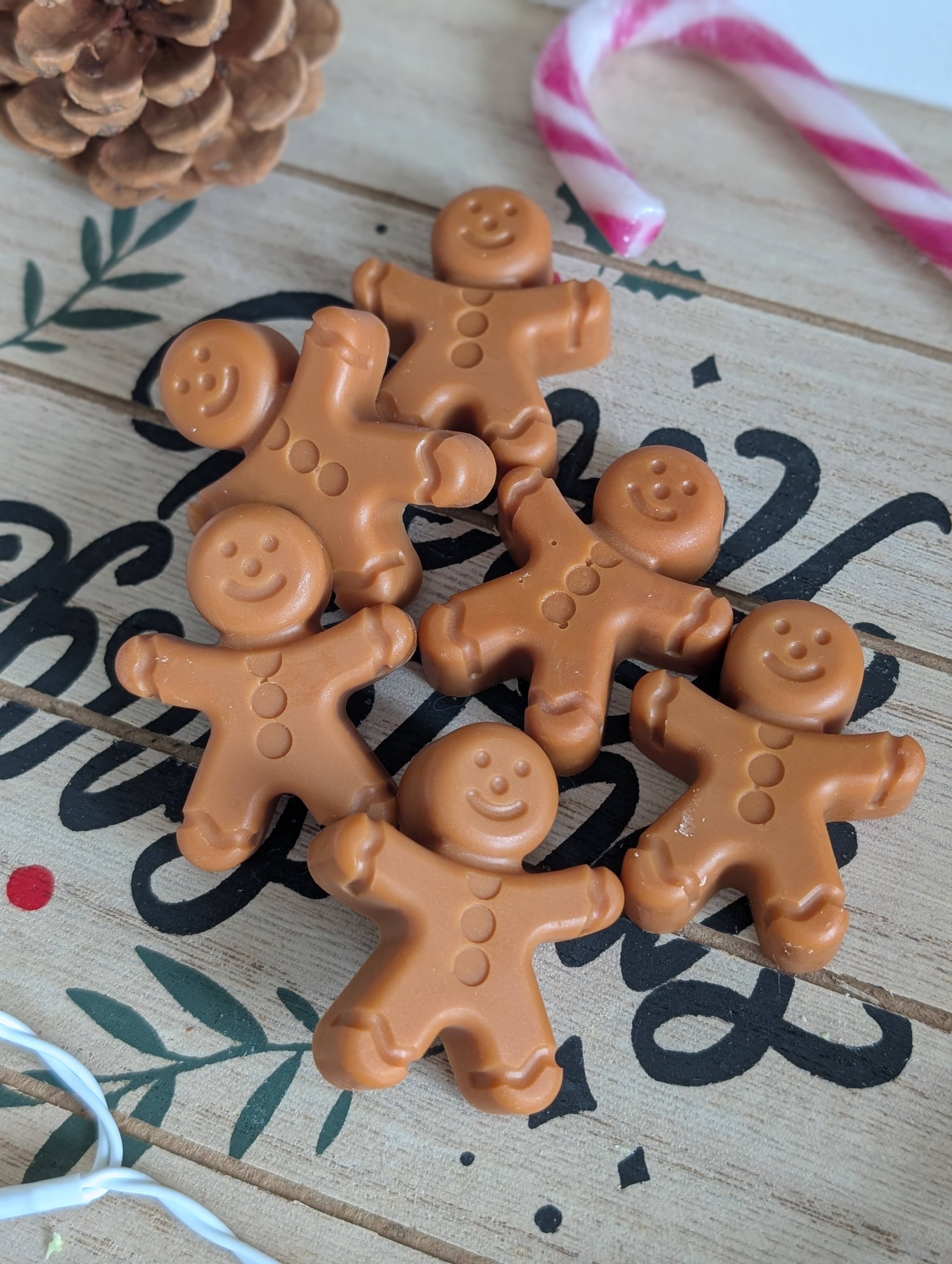 Les bougies Burgondes - Wholesale Wax Melt - Box of 10 Christmas scented melts4