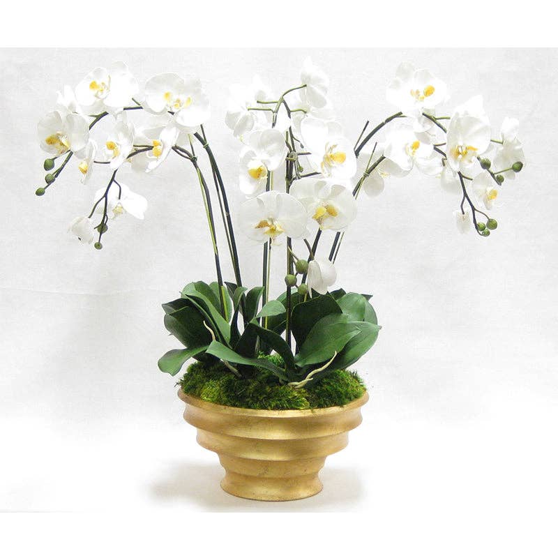 Bougainvillea – wholesale Artificial flowers – [RRC-G-ORYE6] Resin Round Container Gold Leaf - White & Yellow Orchid Artificial - 6 Stems0