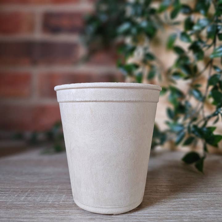 1000 pcs Sustainoware Thick Wall Home-Compostable Cup (6 oz) for wholesale by Sustainoware