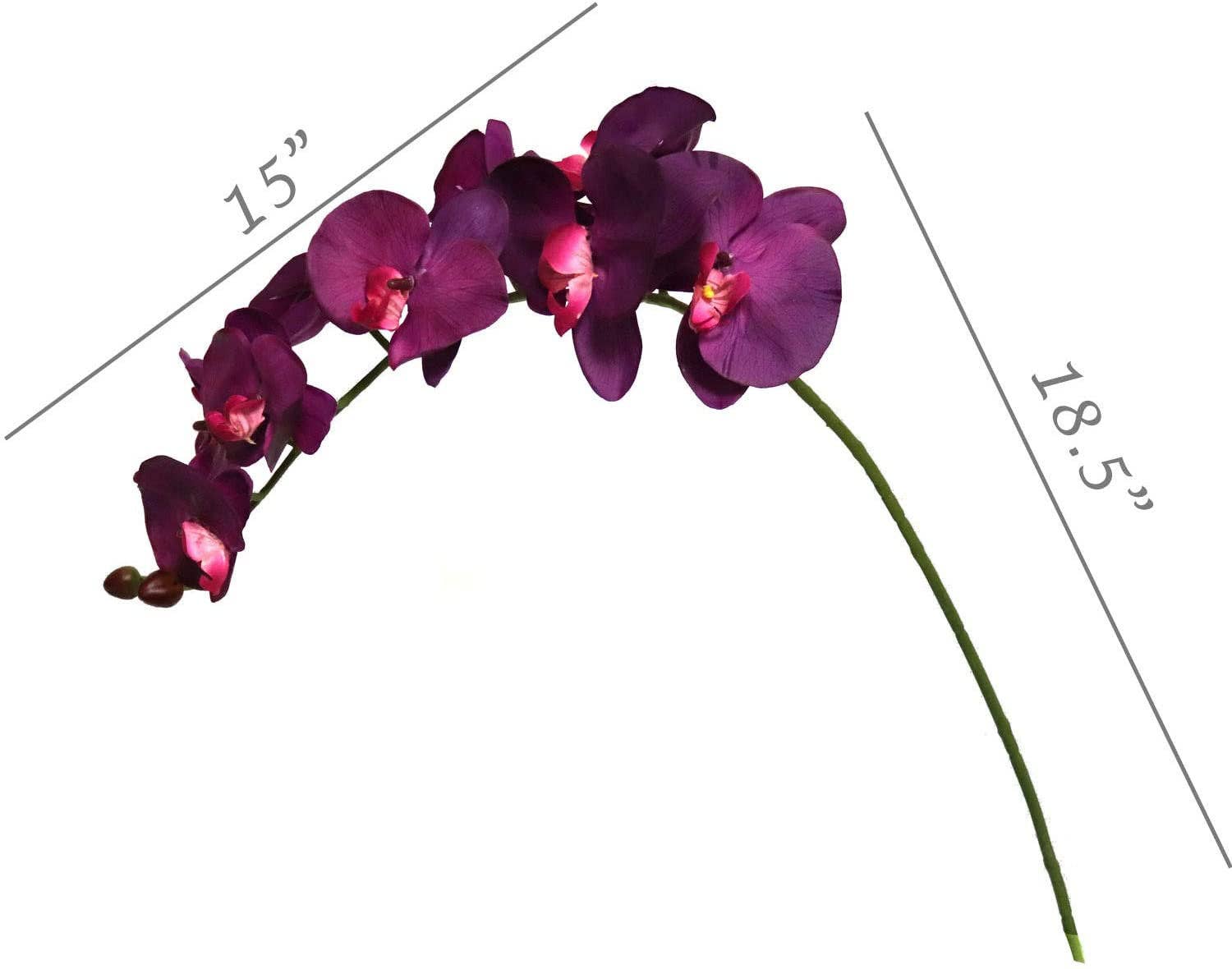 Larksilk - Wholesale Artificial Flowers - Real Touch Silk Phalaenopsis Orchid 9 Flowers Faux3