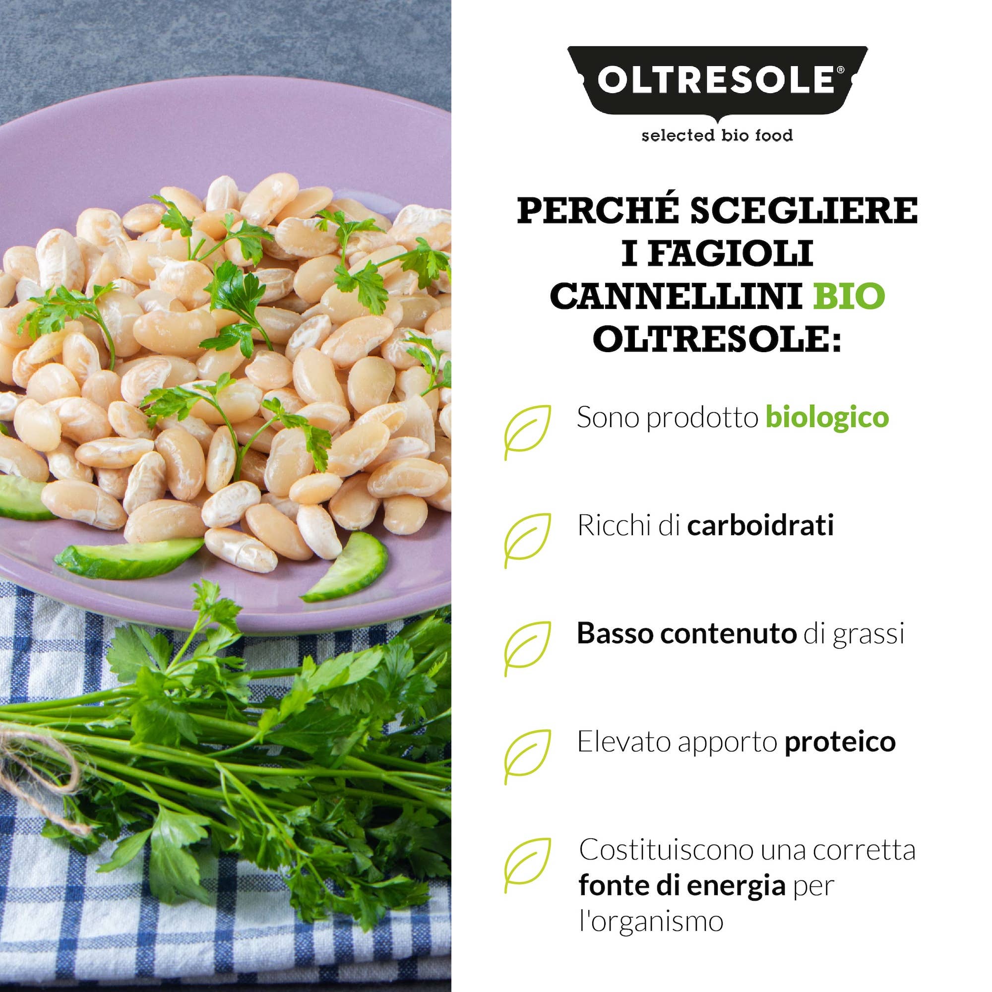 Oltresole – wholesale Bönor – EKOLOGISKA CANNELLINIBÖNOR 1 kg5